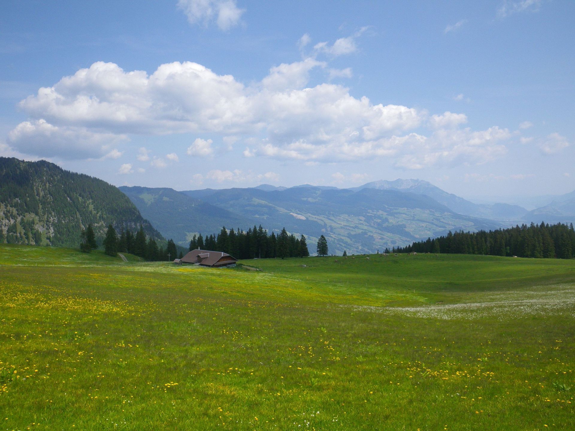 Miteinander wandern
