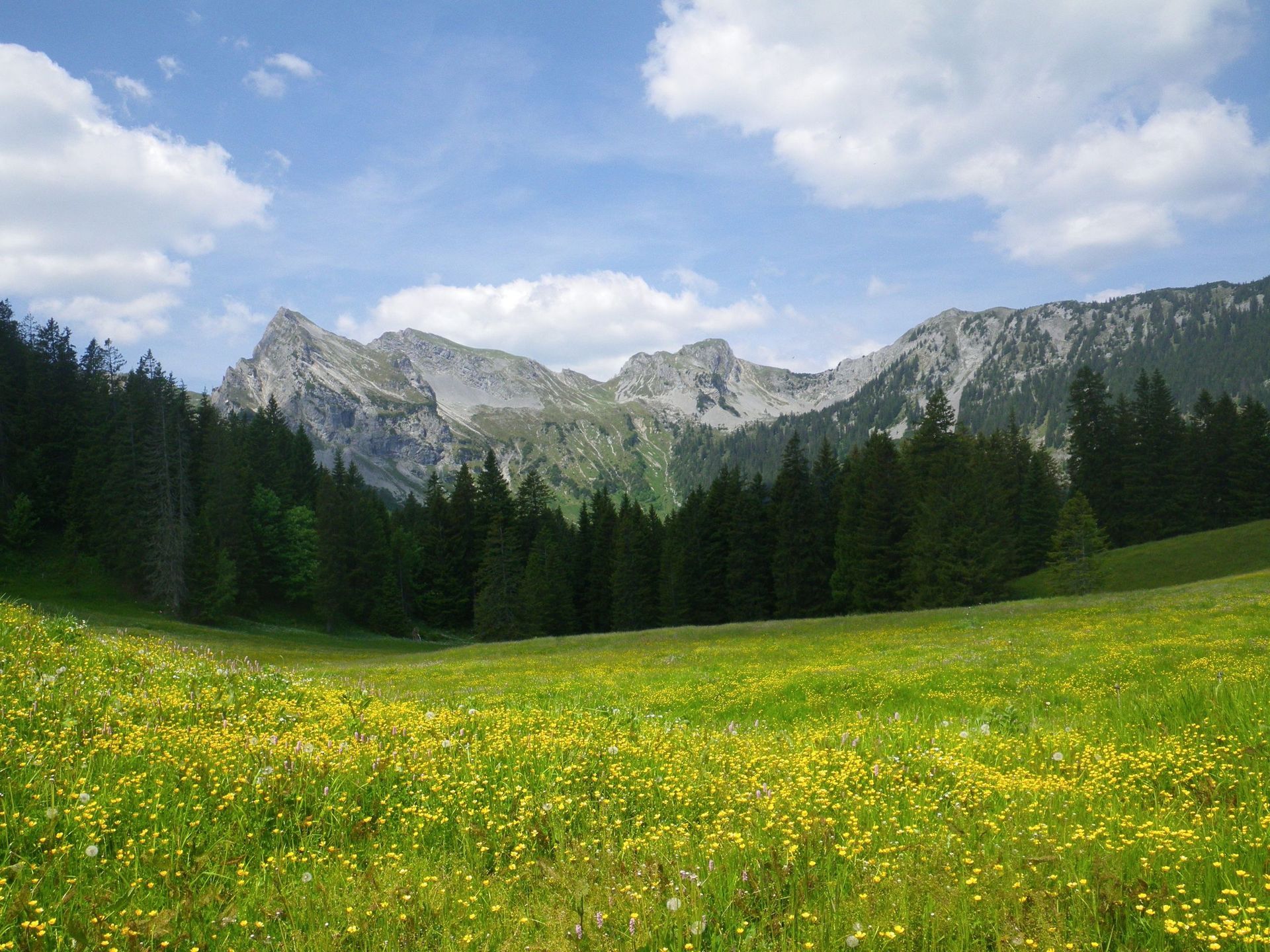 Toller Ausblick vom Sädel auf den Lungerersee und Sarnersee