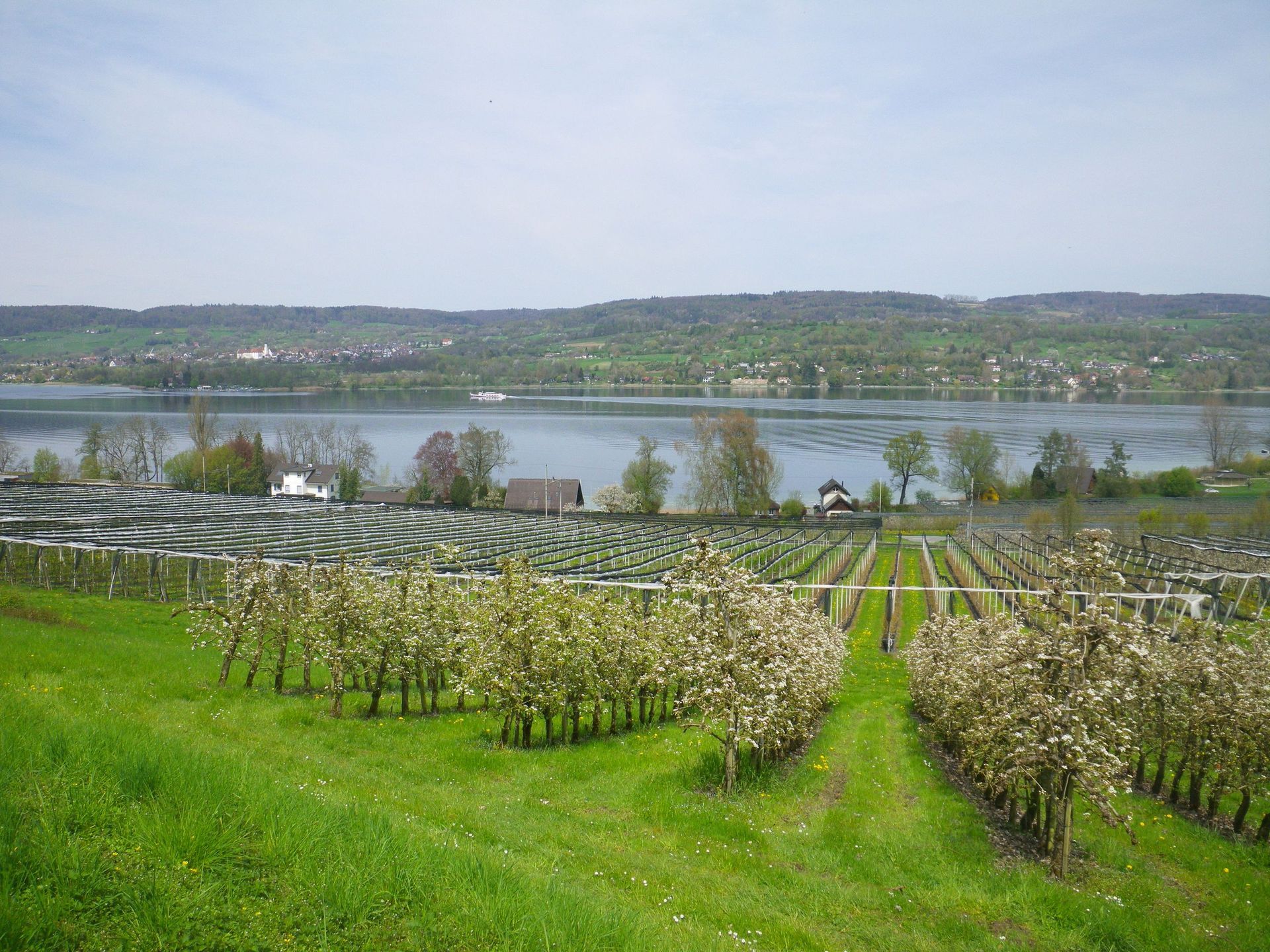 Toller Ausblick vom Sädel auf den Lungerersee und Sarnersee