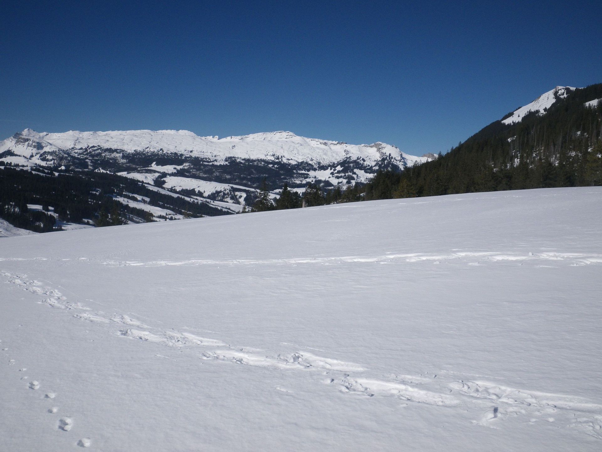 Toller Ausblick vom Sädel auf den Lungerersee und Sarnersee