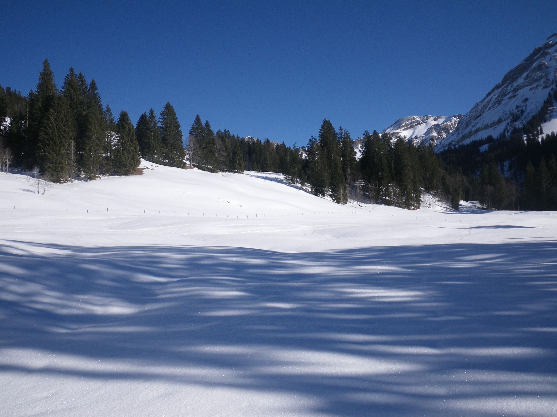 Toller Ausblick vom Sädel auf den Lungerersee und Sarnersee
