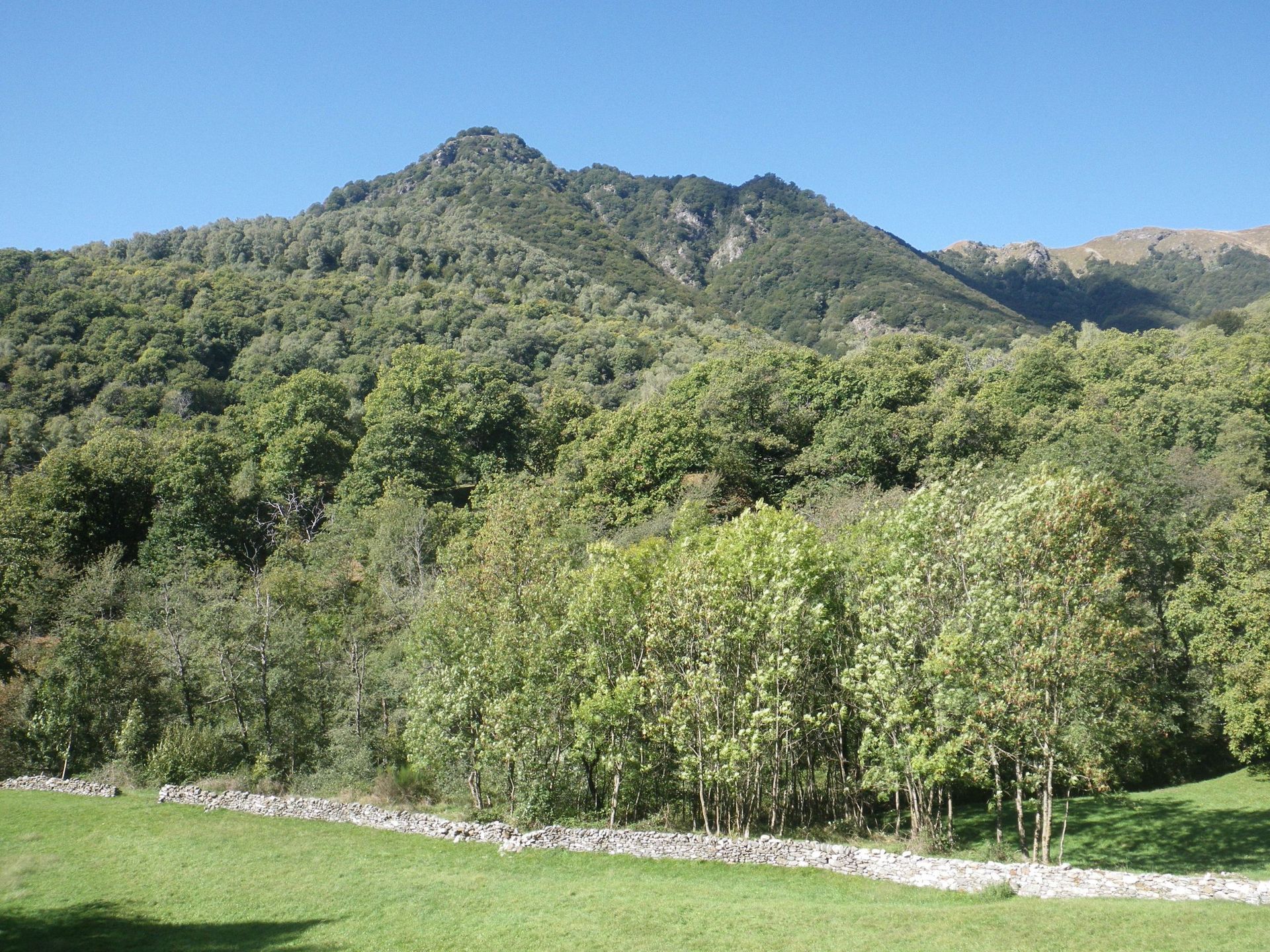Toller Ausblick vom Sädel auf den Lungerersee und Sarnersee