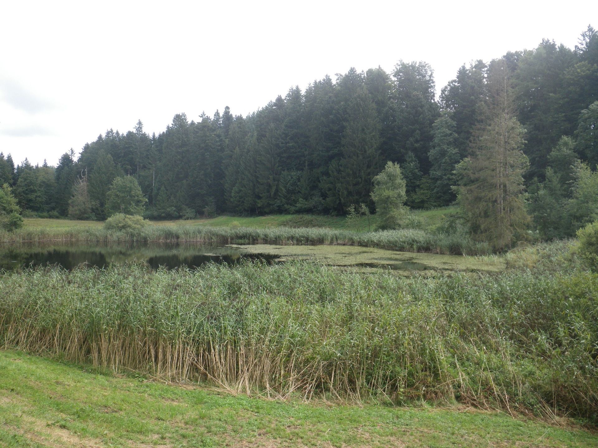 Toller Ausblick vom Sädel auf den Lungerersee und Sarnersee