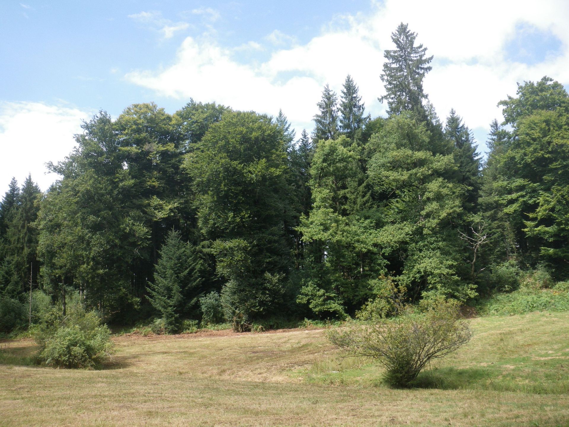 Toller Ausblick vom Sädel auf den Lungerersee und Sarnersee