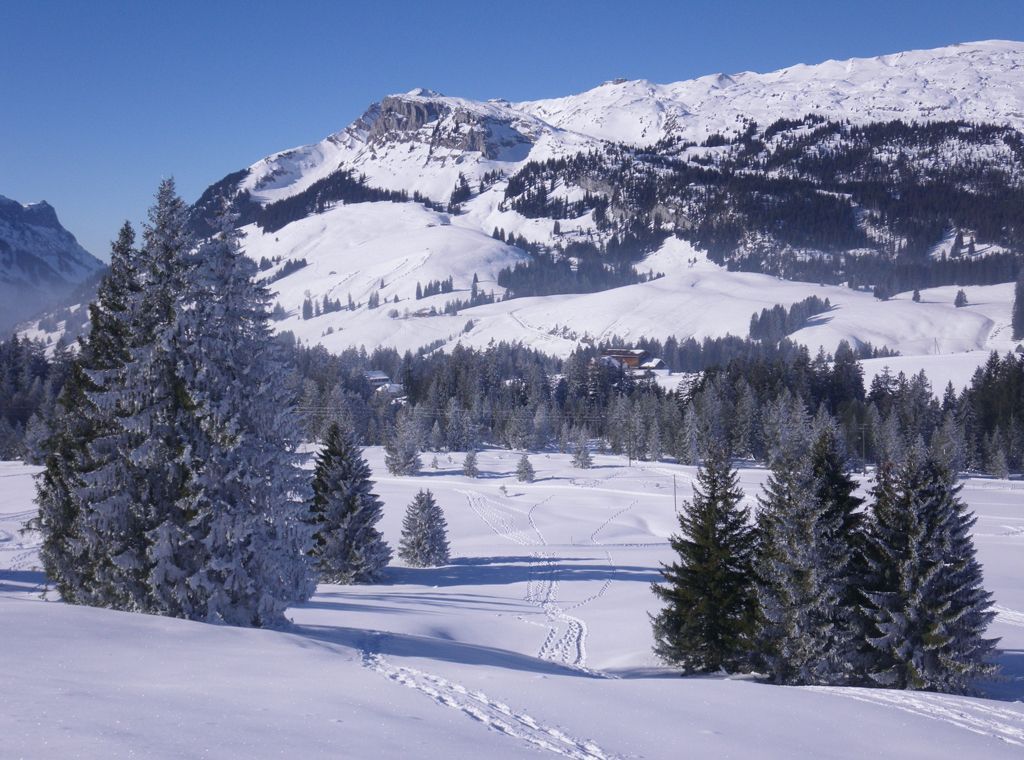 Winter - Miteinander Wandern