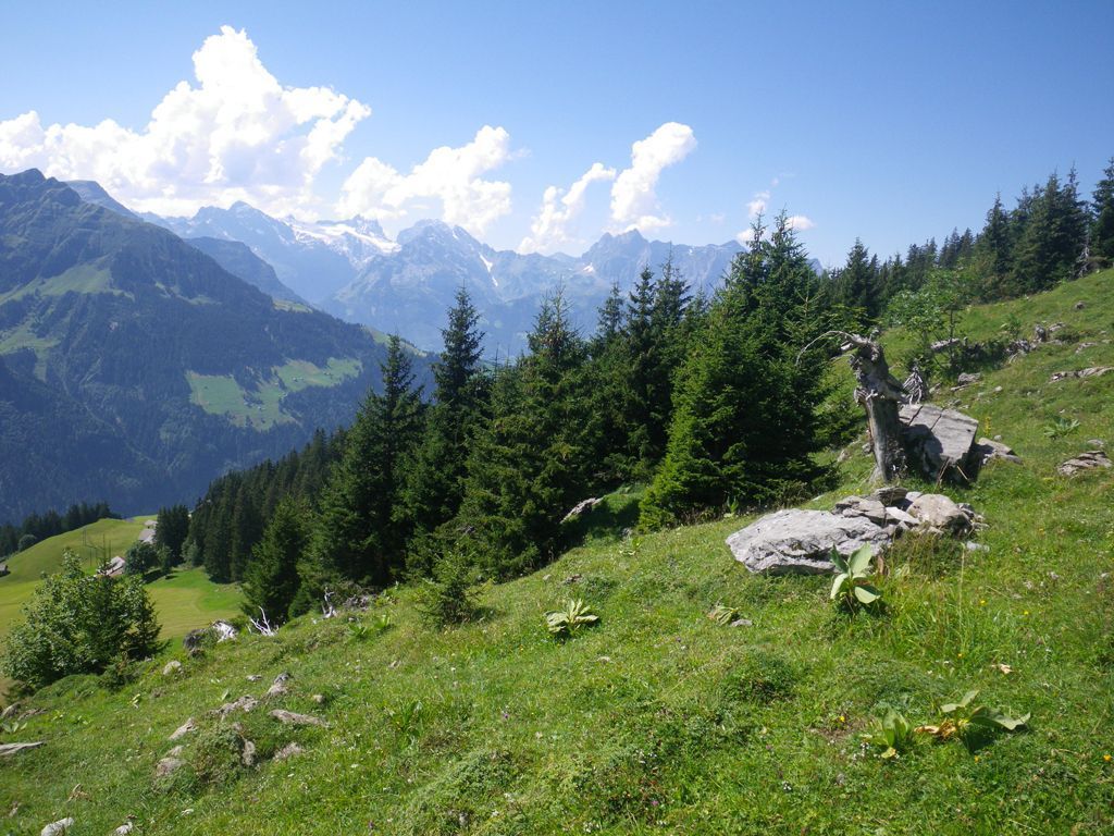 Quellwolken - Miteinander wandern