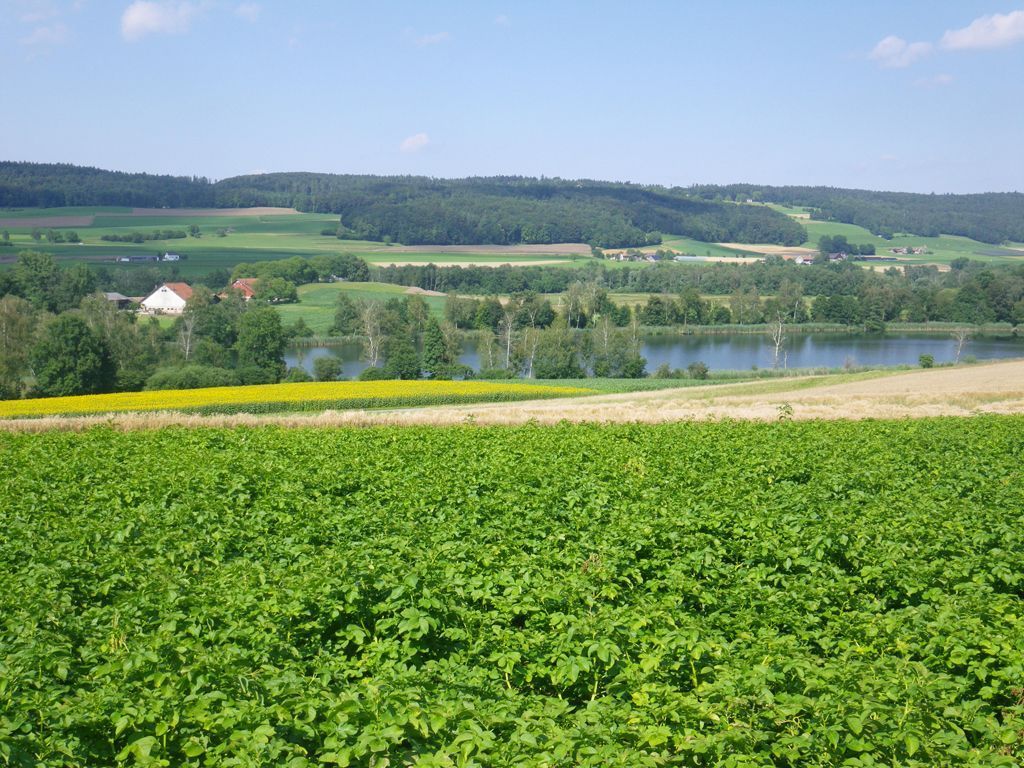 Feld Voralpen - Miteinander wandern