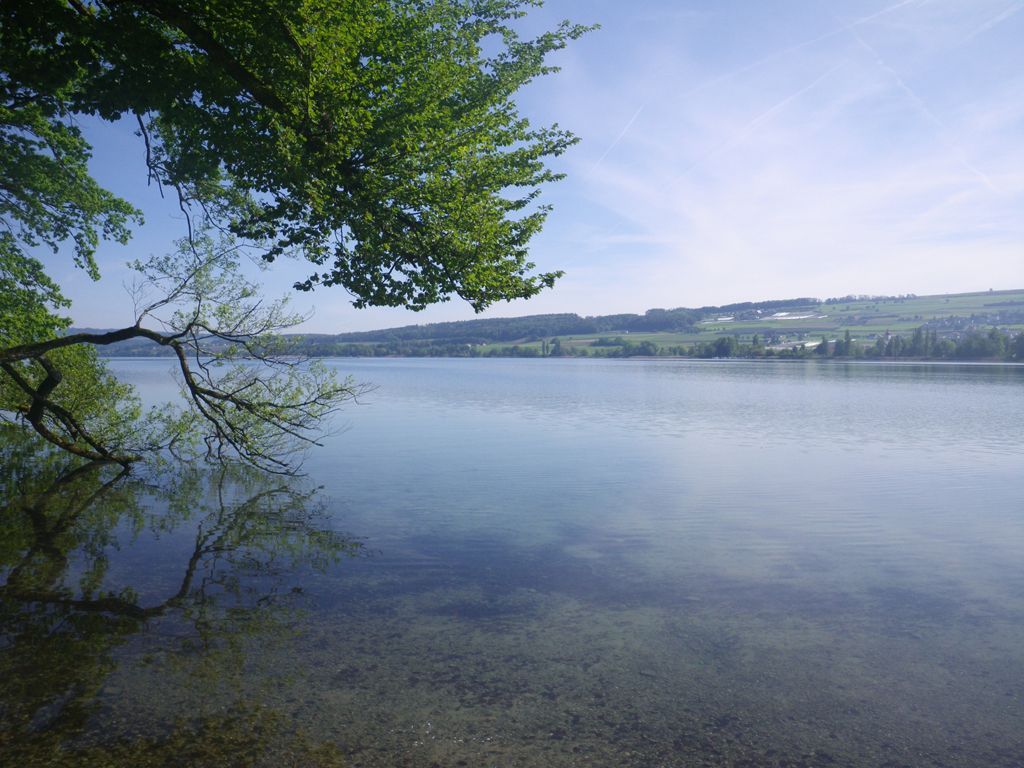 Seeufer - Miteinander wandern