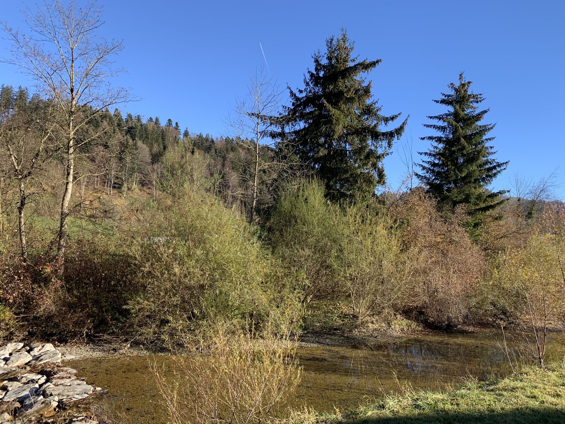 Hochstamm-Obstgarten bei Kradolf an der Sitter