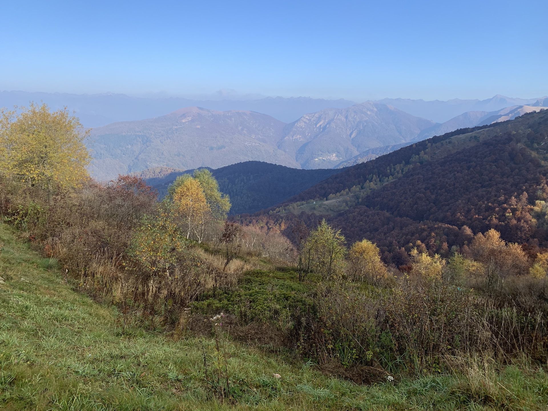 Hochstamm-Obstgarten bei Kradolf an der Sitter