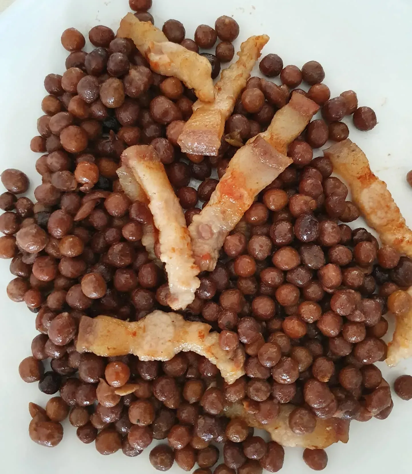 Un plato blanco cubierto con frijoles marrones y tocino.