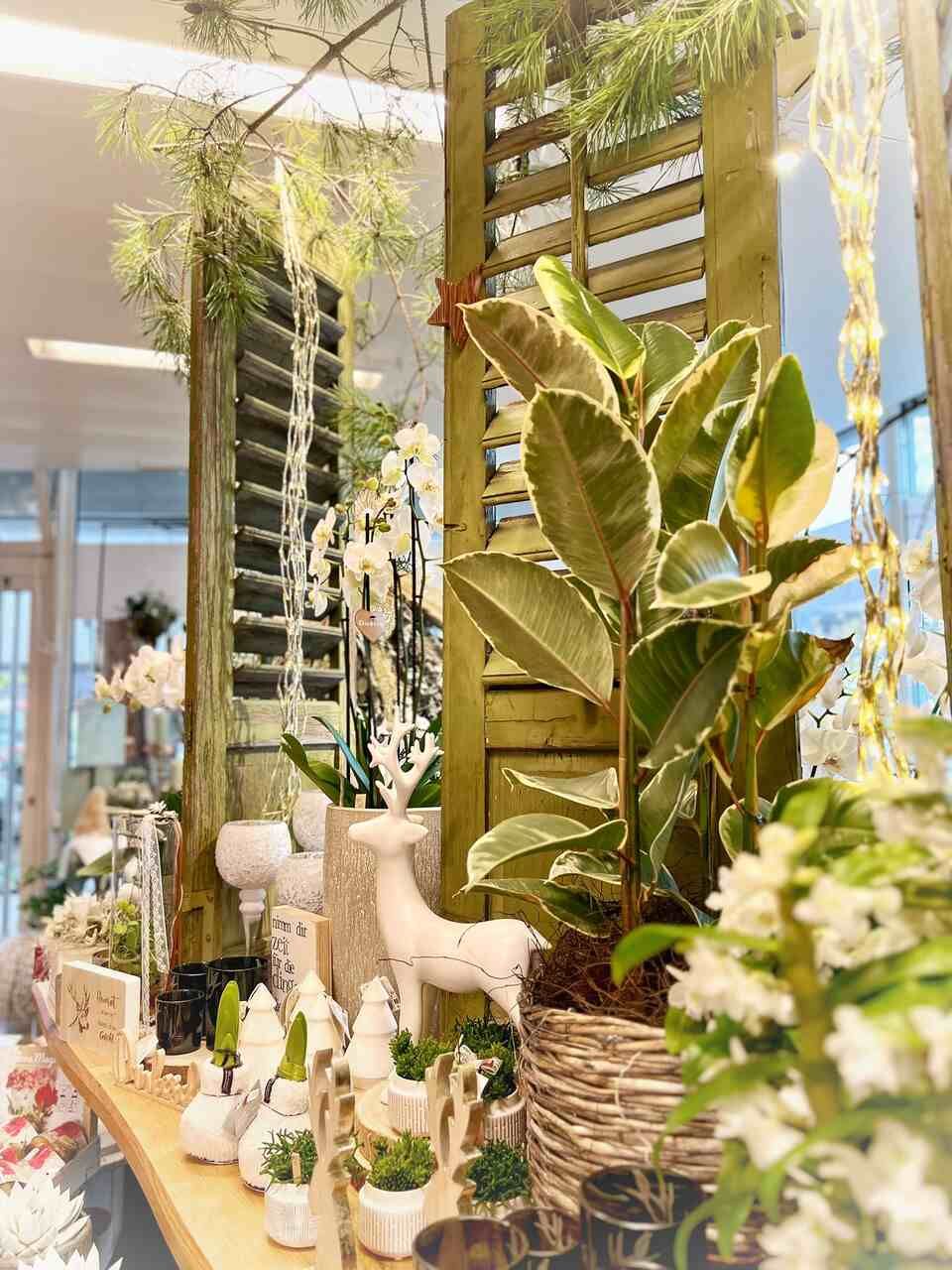 S'Bluemelädeli Schmid GmbH