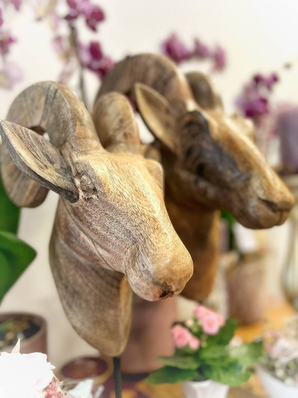 S'Bluemelädeli Schmid GmbH