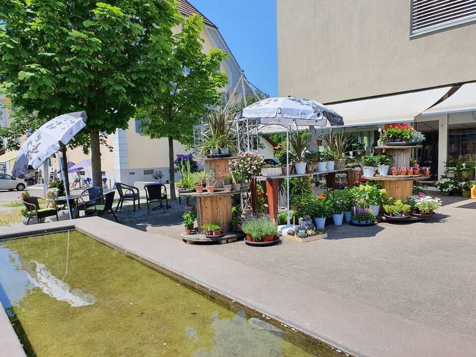 S'Bluemelädeli Schmid GmbH