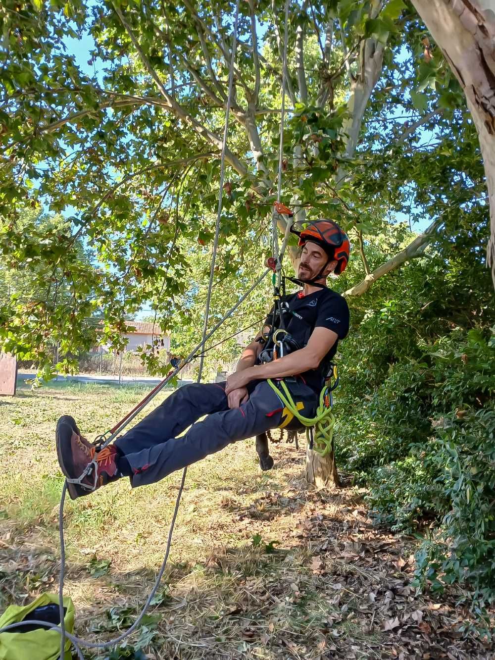 Un hombre está colgado de un árbol con los pies en alto.