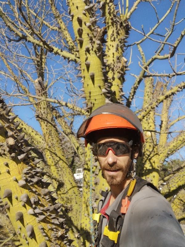 Un hombre que lleva casco y gafas de sol se encuentra frente a un árbol con púas.