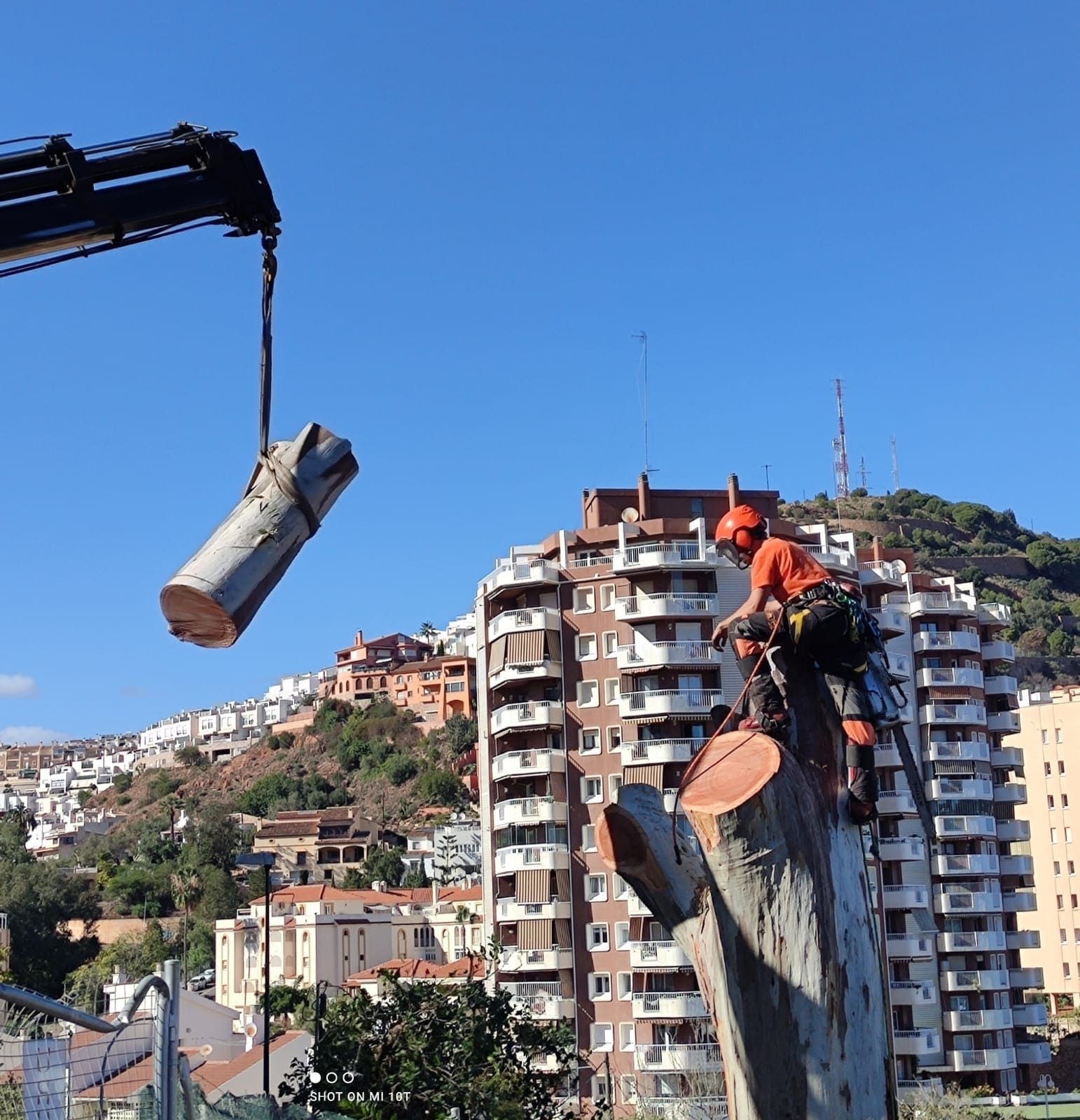 Un hombre está trepando un tocón de árbol con una grúa al fondo.