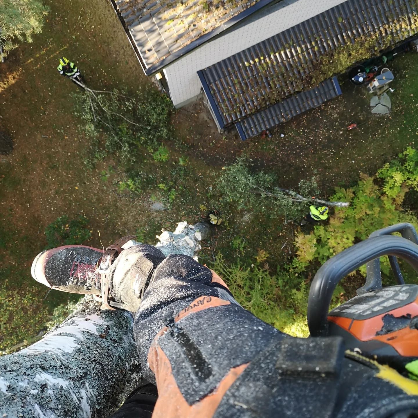 Una vista aérea de una persona cortando un árbol con una motosierra.