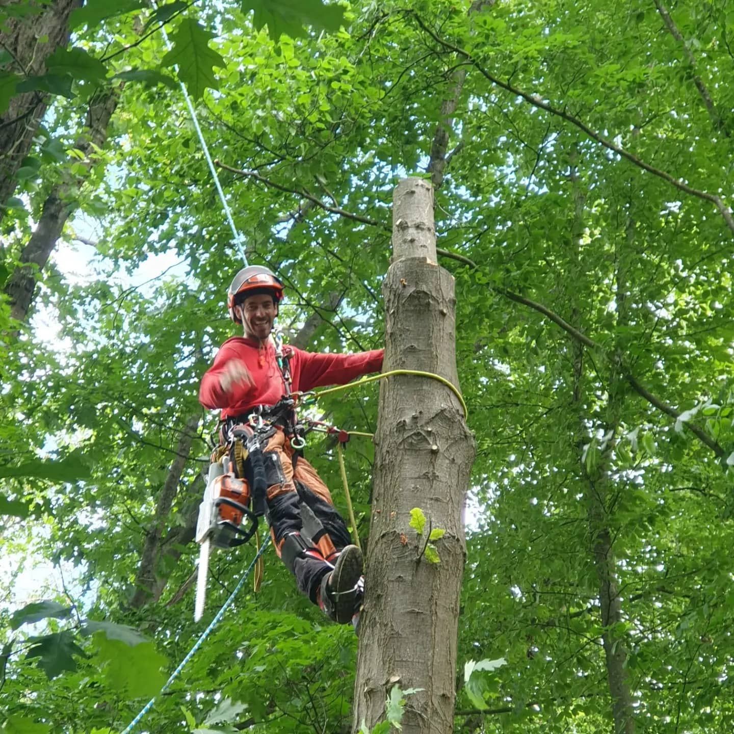 Un hombre está trepando un árbol con una motosierra.