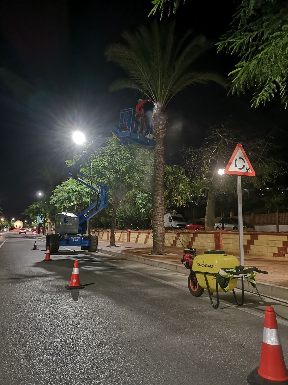 Un hombre está trabajando en una palmera por la noche.