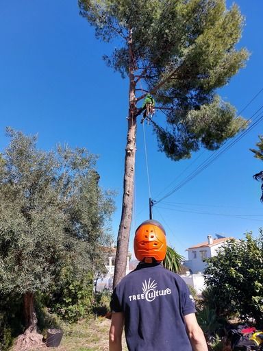 Un hombre que lleva un casco está de pie junto a un árbol.