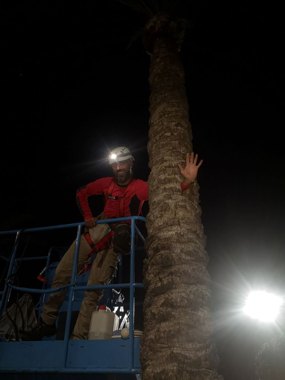 Un hombre está de pie sobre una grúa junto a una palmera por la noche.