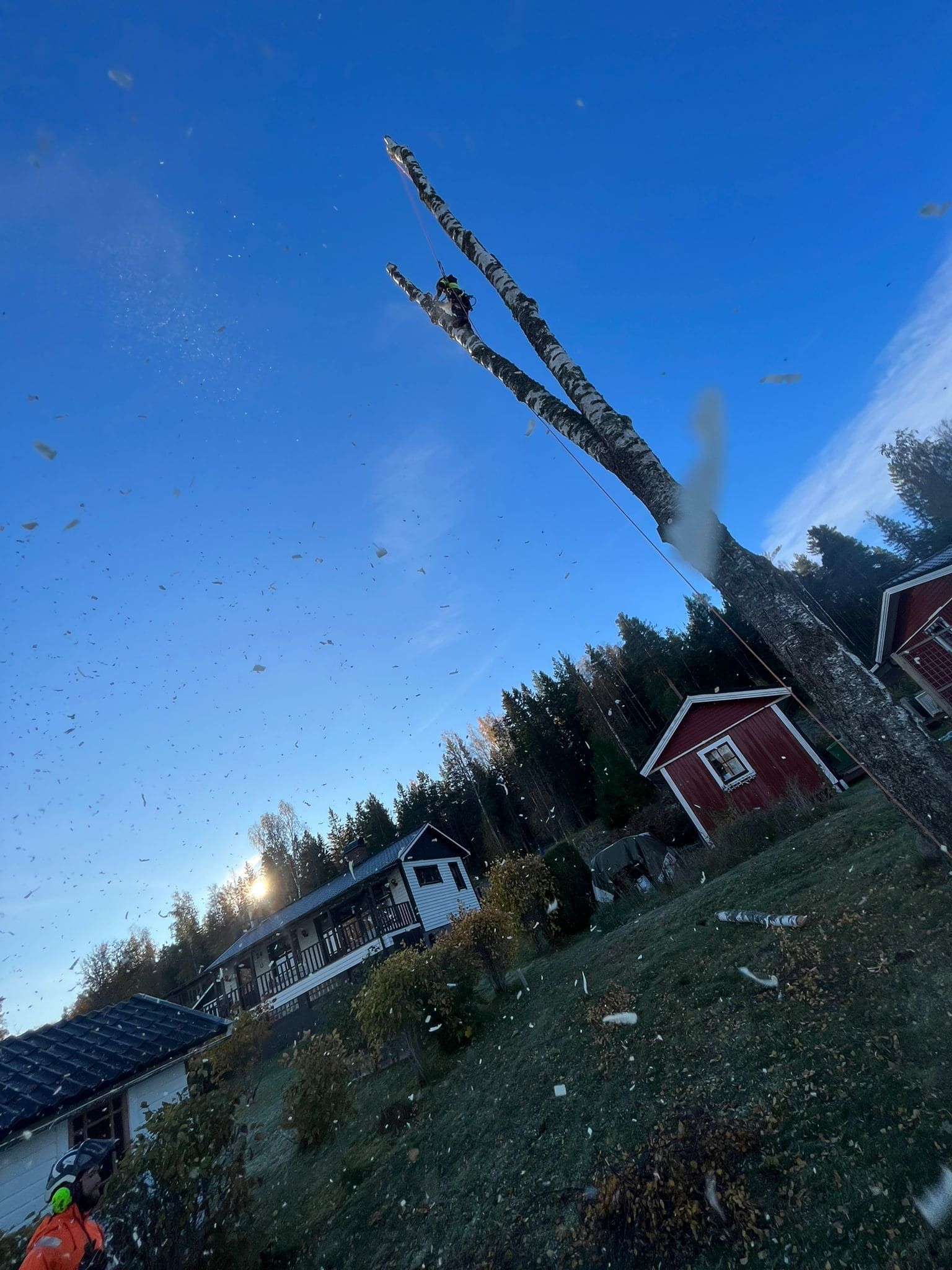 Un tocón de árbol vuela por el aire frente a una casa.