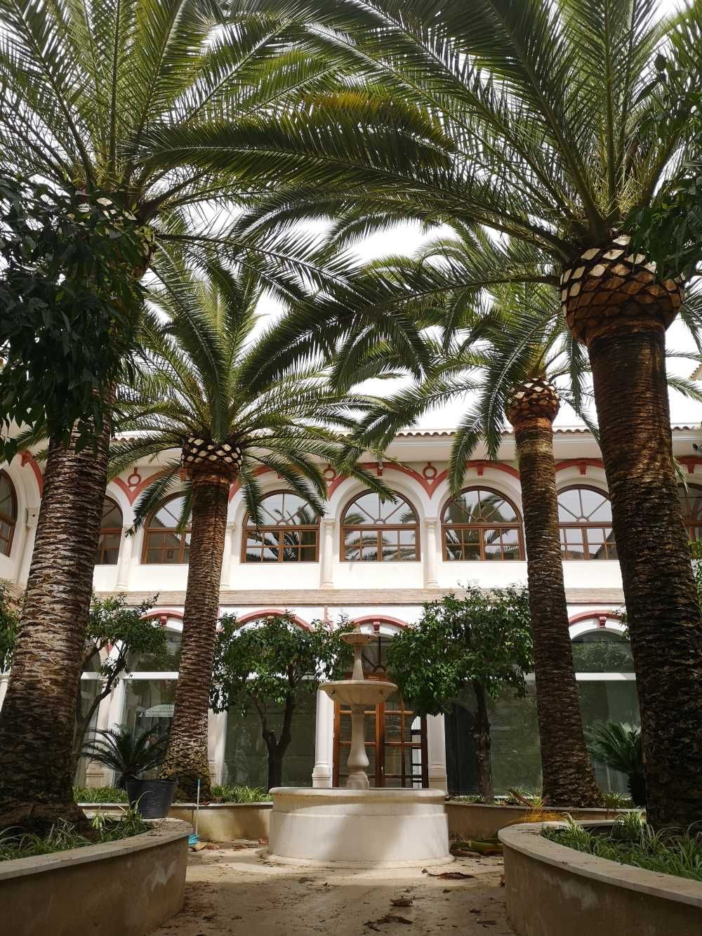 Un patio con palmeras y una fuente frente a un edificio.