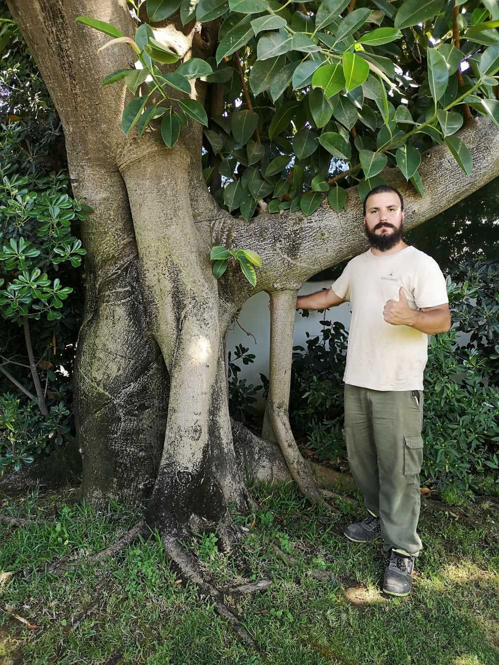 Un hombre con barba está de pie junto a un gran árbol.
