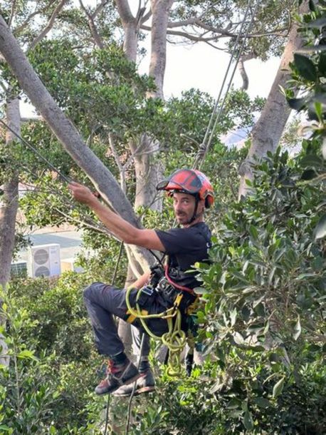 Un hombre cuelga de la rama de un árbol usando un casco.