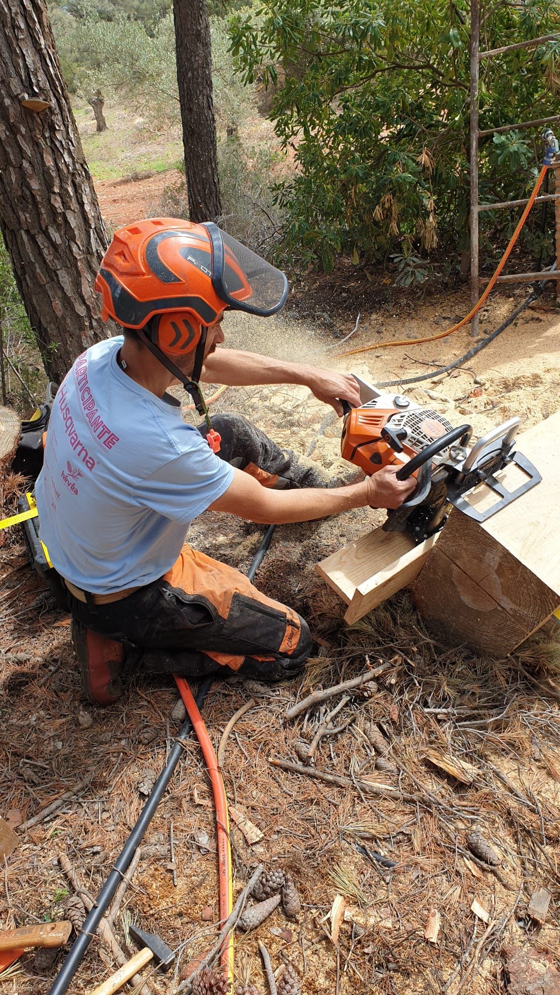 Un hombre está cortando un trozo de madera con una motosierra en el bosque.