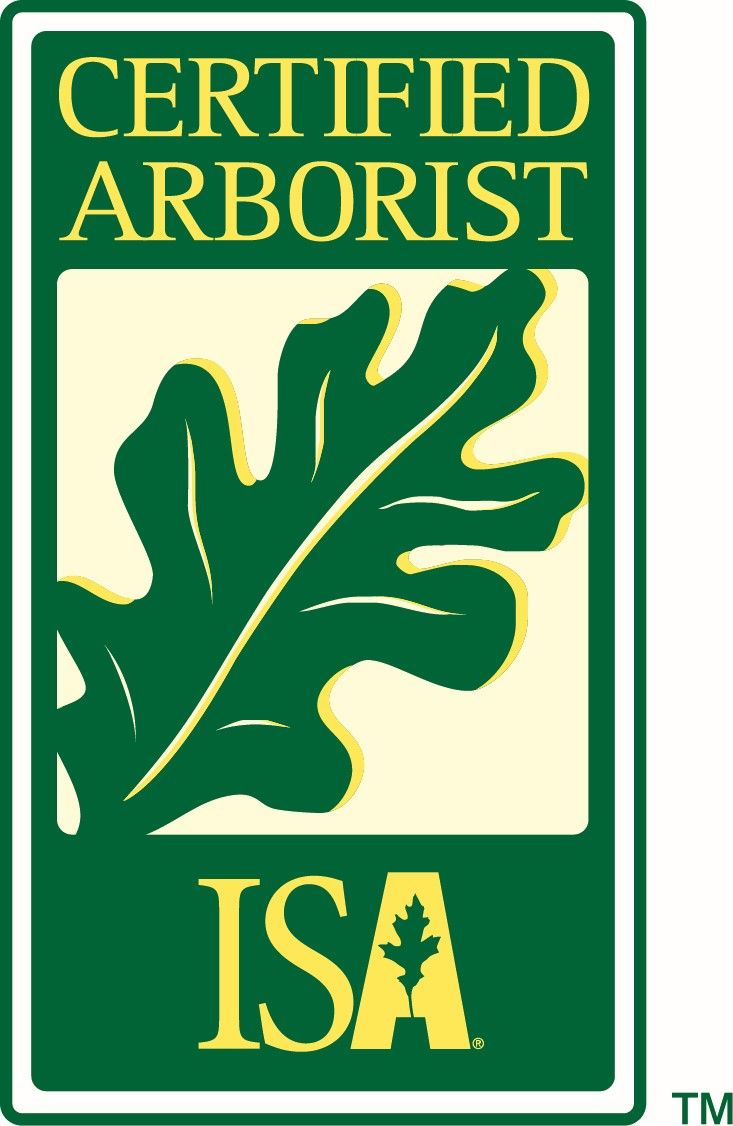 Un arborista certificado tiene un logotipo con una hoja de roble.
