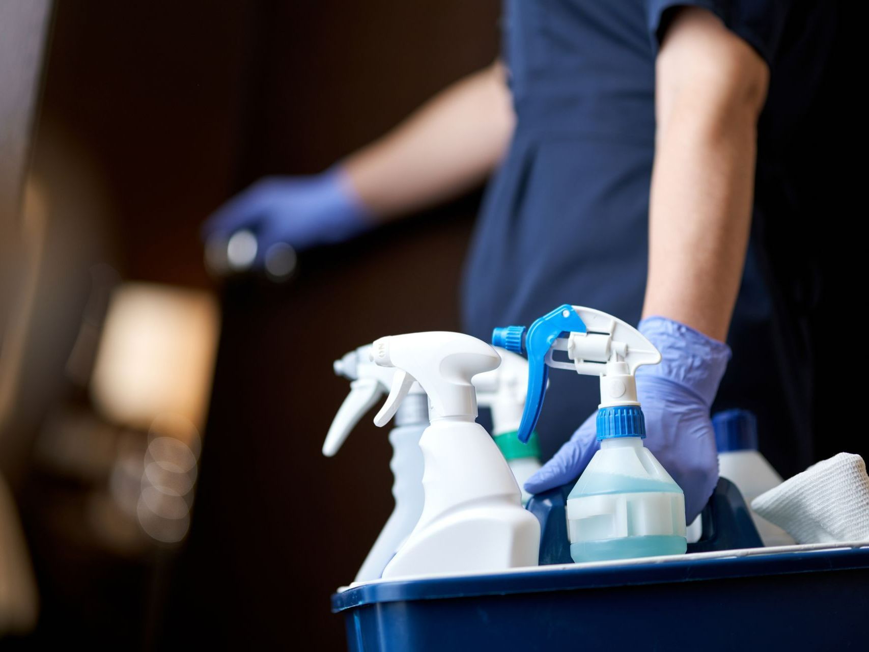 Un professionnel avec des produits d'entretien