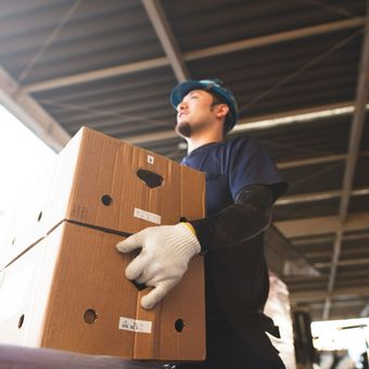 Professionnel avec service de débarras