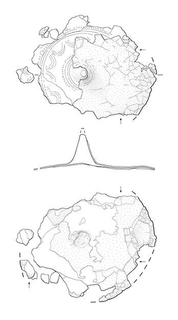 Miriam Winteregg Illustration