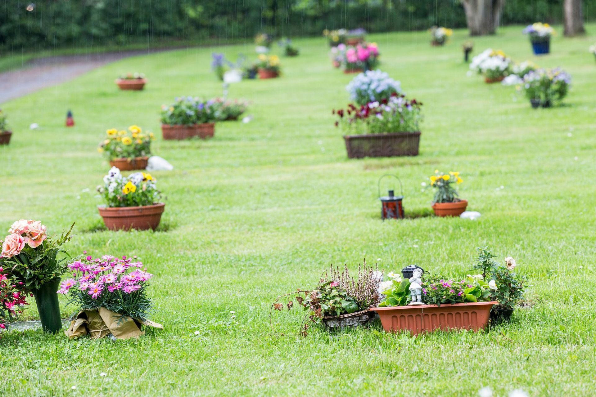 Ein Friedhof voller Topfpflanzen und Blumen.