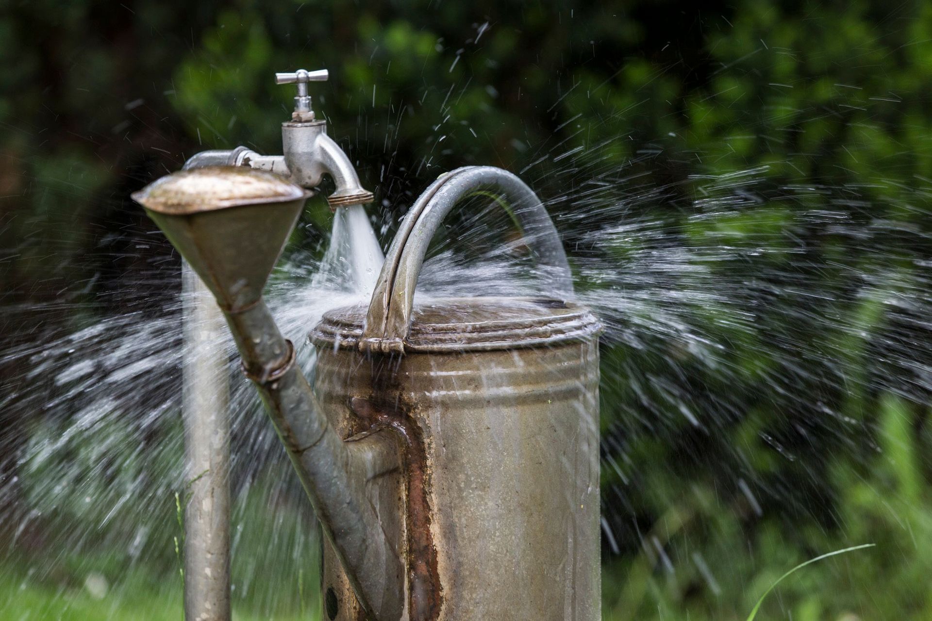 Aus einem Wasserhahn sprüht eine Gießkanne Wasser.