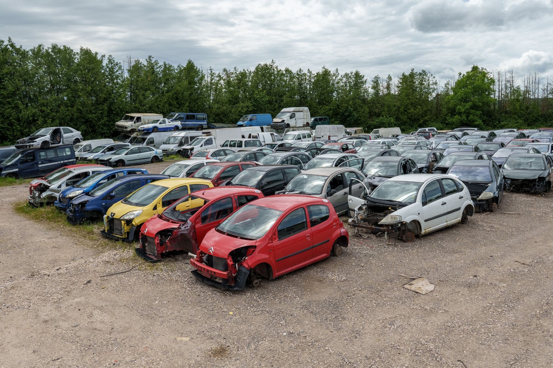 Nombreuses voitures dans une casse auto