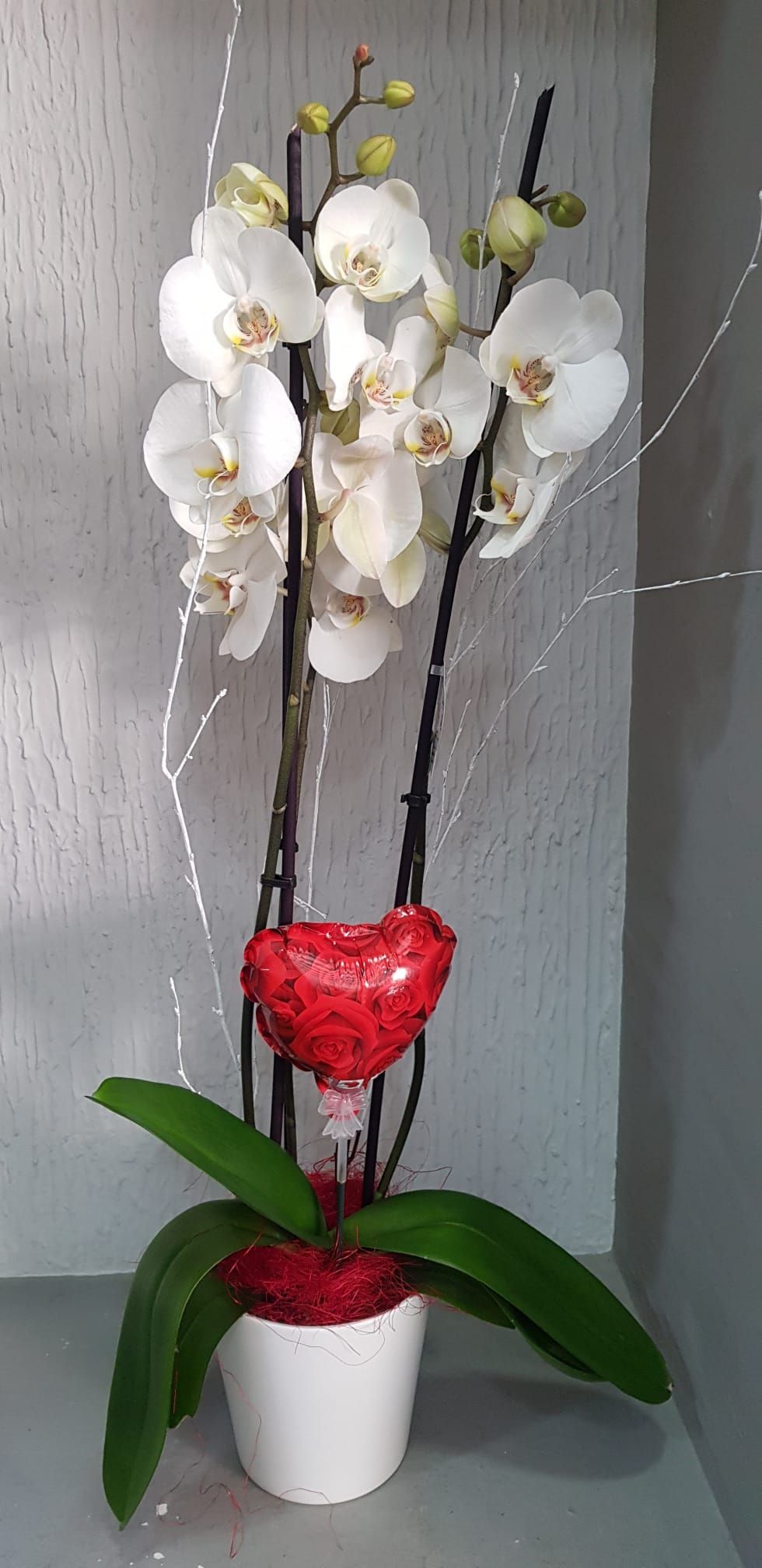 Una orquídea blanca en una maceta blanca con dos corazones rojos adheridos a ella.