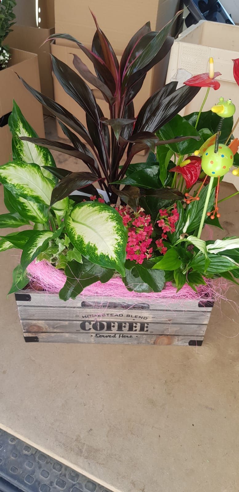 Una caja de madera llena de muchas plantas y flores.