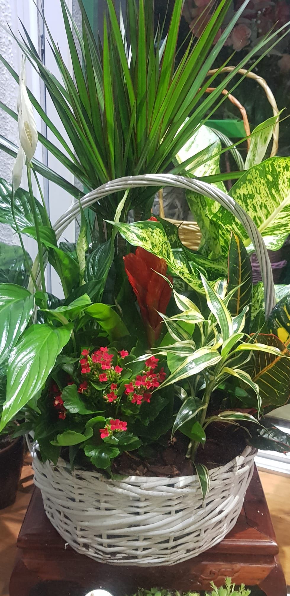 Una cesta llena de muchas plantas y flores está sobre una mesa de madera.