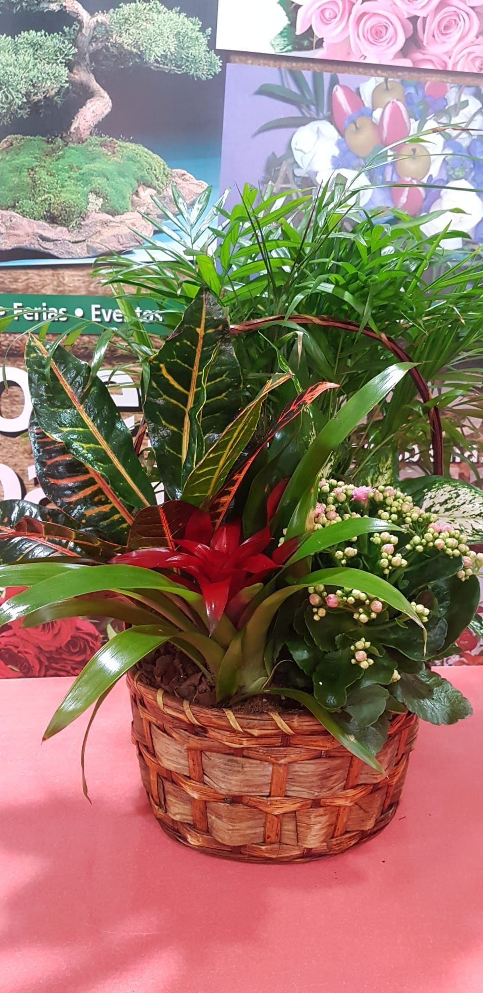 Una cesta llena de muchas plantas está sobre una mesa.