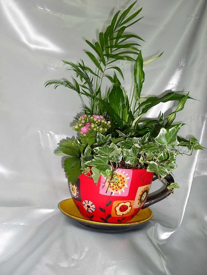 Una taza de té roja llena de plantas en un platillo.