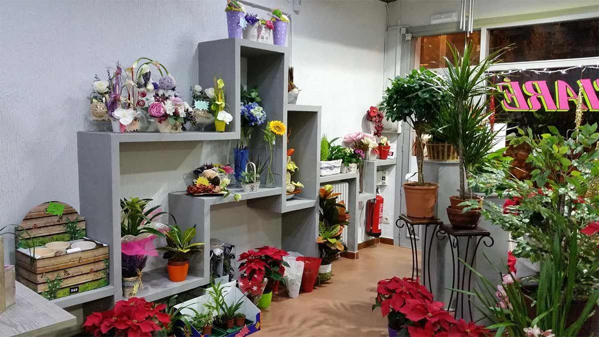 Una habitación llena de muchas plantas y flores en macetas.