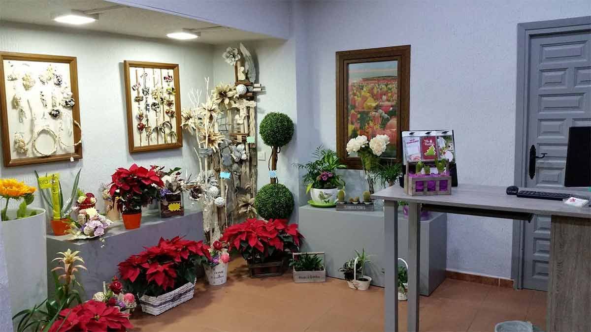 Una habitación llena de muchas plantas y flores en macetas.