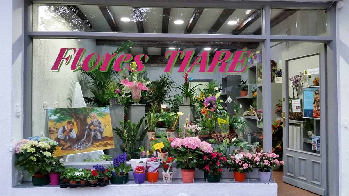 Un escaparate de una floristería con flores en macetas.