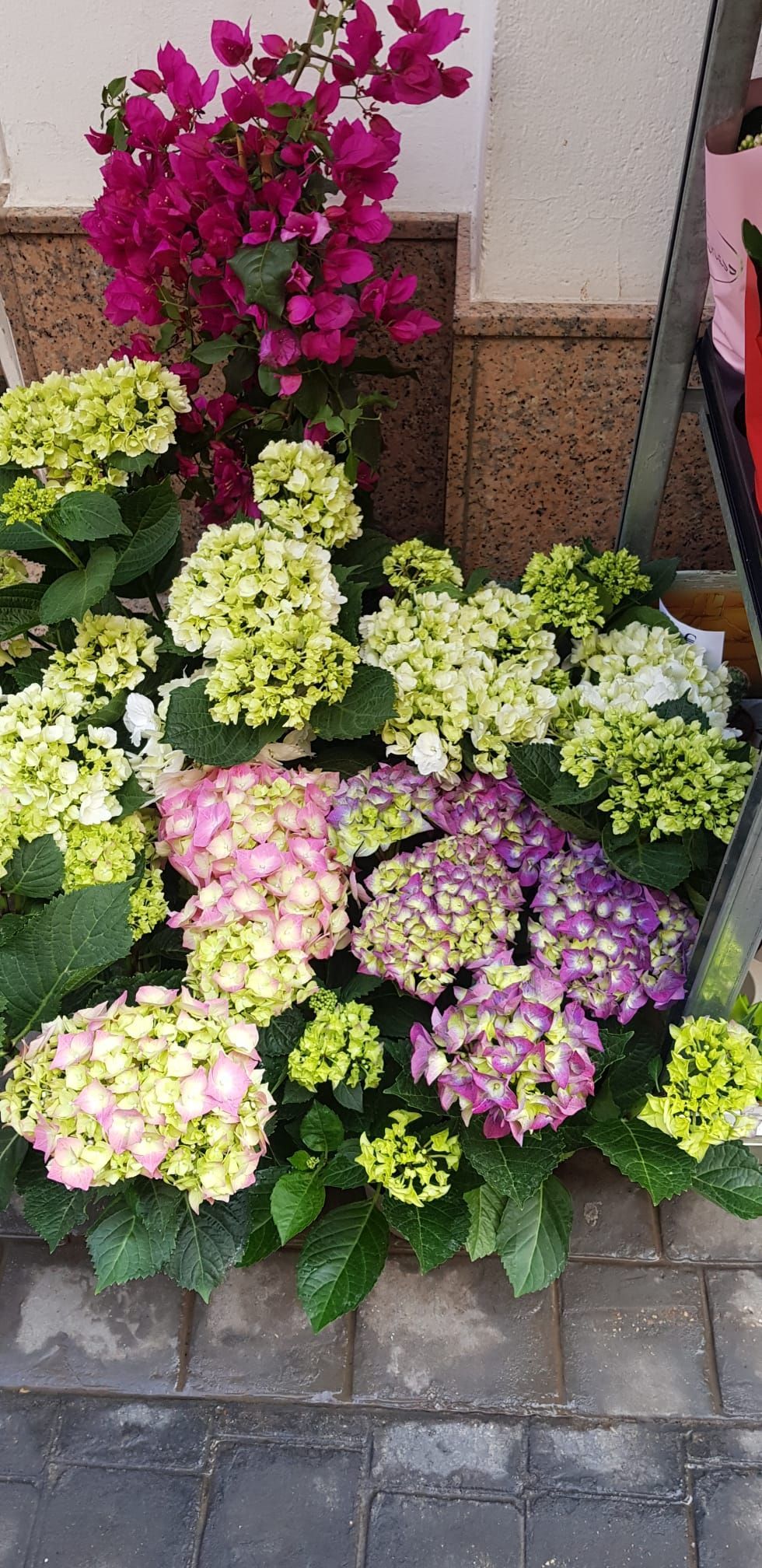 Un ramo de flores está en el suelo frente a un edificio.