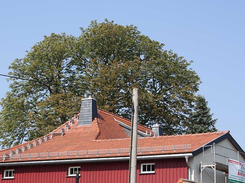 Dachdeckerei Barthel Referenzen
