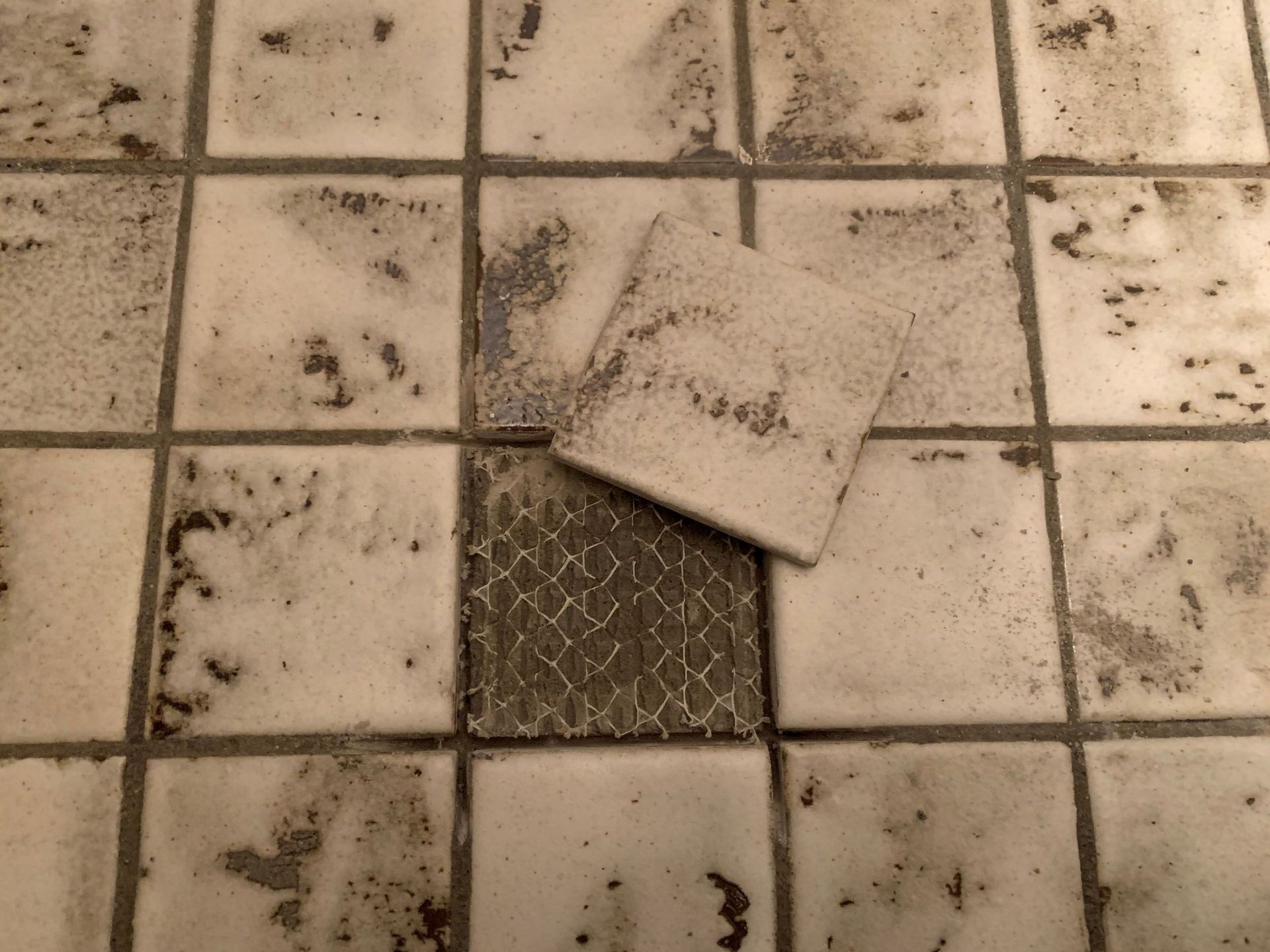 Bodenfliese abgelöst - Aqua Control AG Bad Ragaz