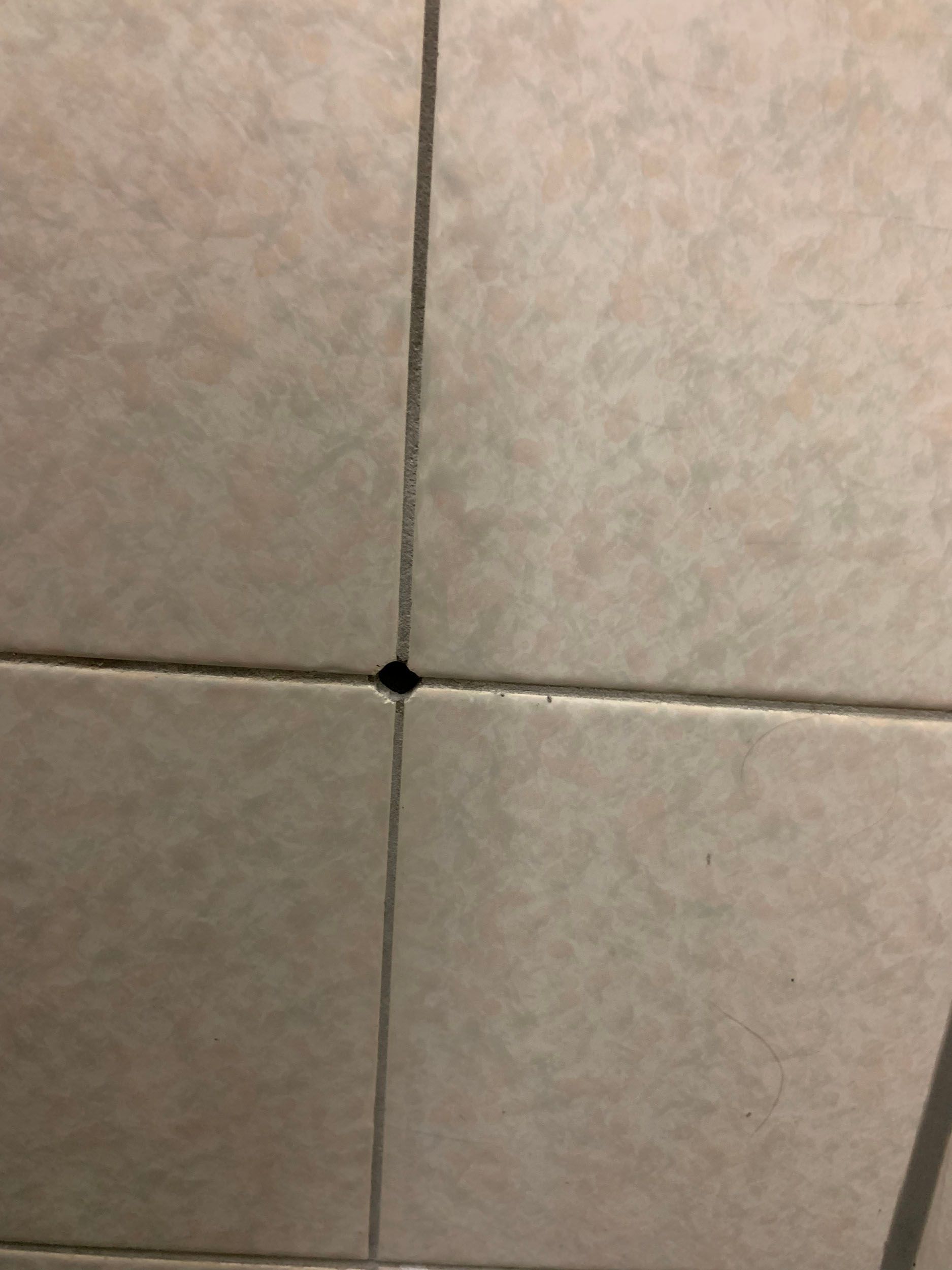 Endoskopie - Aqua Control AG Bad Ragaz